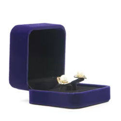 Krabička na náušnice modrá